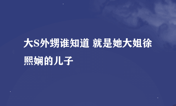 大S外甥谁知道 就是她大姐徐熙娴的儿子