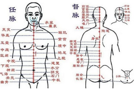 任脉的作用？？