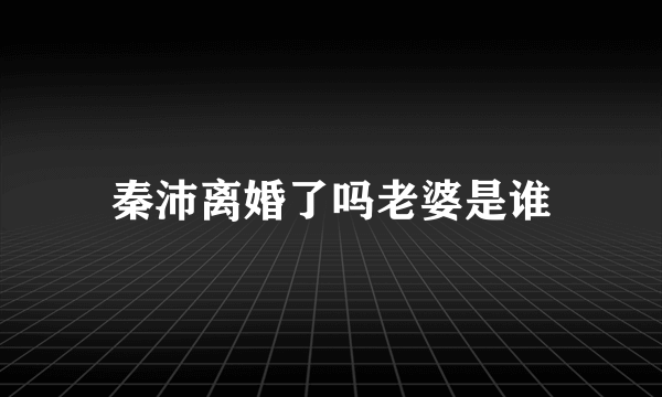 秦沛离婚了吗老婆是谁