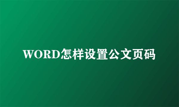 WORD怎样设置公文页码