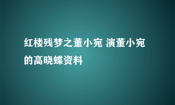 红楼残梦之董小宛 演董小宛的高晓蝶资料