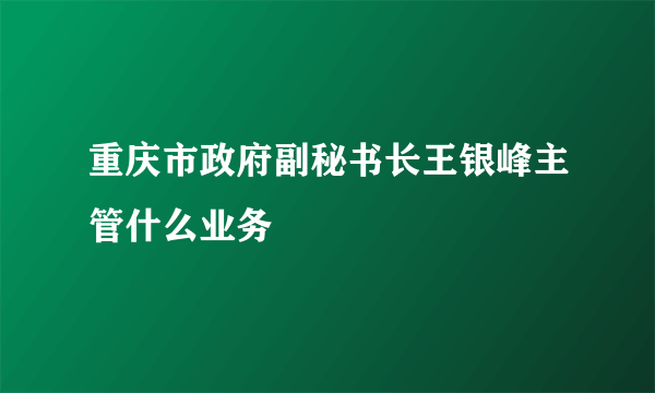 重庆市政府副秘书长王银峰主管什么业务