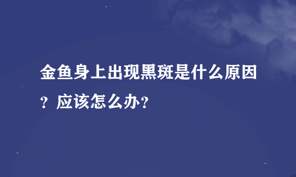 金鱼身上出现黑斑是什么原因？应该怎么办？