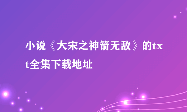 小说《大宋之神箭无敌》的txt全集下载地址