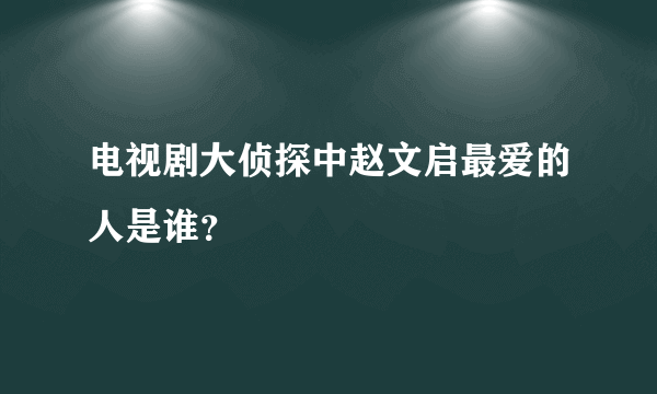 电视剧大侦探中赵文启最爱的人是谁？