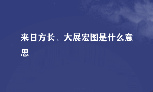 来日方长、大展宏图是什么意思