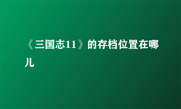 《三国志11》的存档位置在哪儿