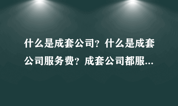 什么是成套公司？什么是成套公司服务费？成套公司都服务了什么，详细解释一下。