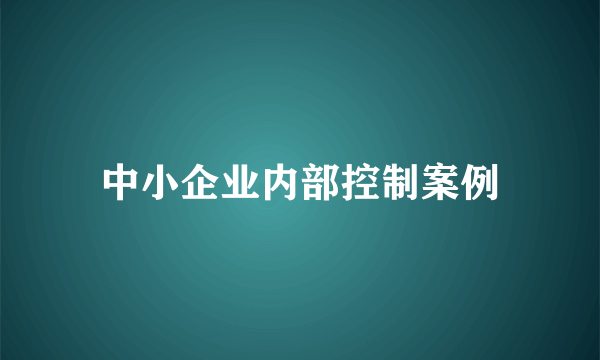 中小企业内部控制案例