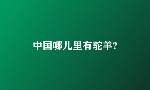 中国哪儿里有驼羊?