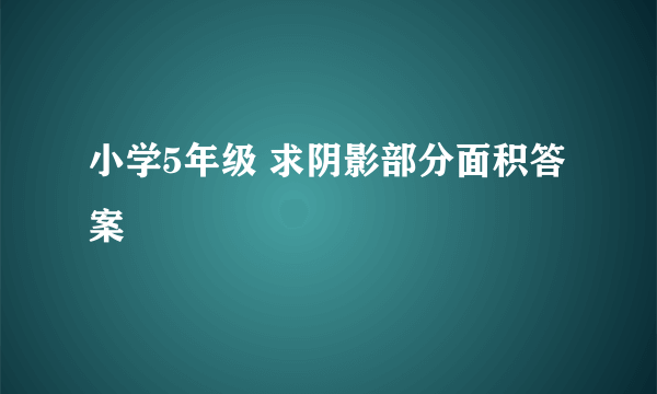 小学5年级 求阴影部分面积答案