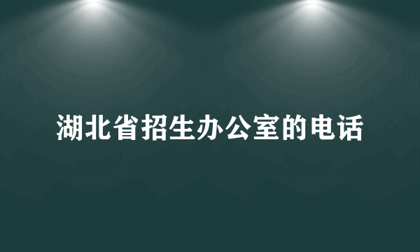 湖北省招生办公室的电话