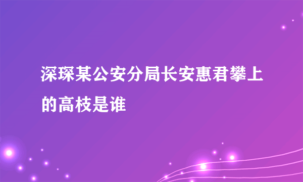 深琛某公安分局长安惠君攀上的高枝是谁