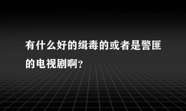 有什么好的缉毒的或者是警匪的电视剧啊？