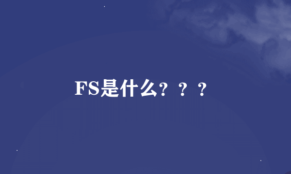 FS是什么？？？