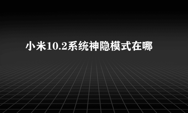 小米10.2系统神隐模式在哪