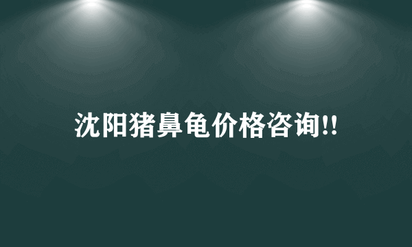 沈阳猪鼻龟价格咨询!!