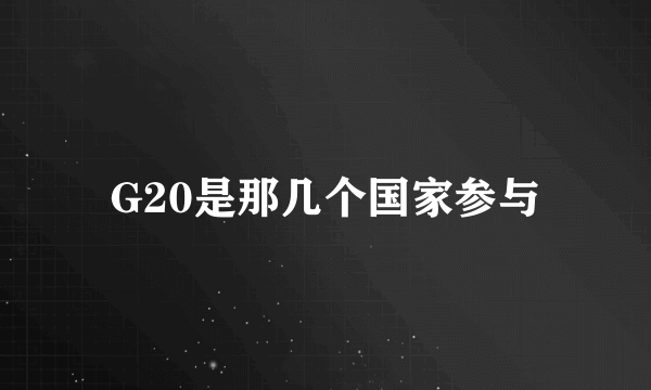 G20是那几个国家参与