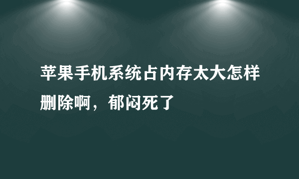 苹果手机系统占内存太大怎样删除啊，郁闷死了