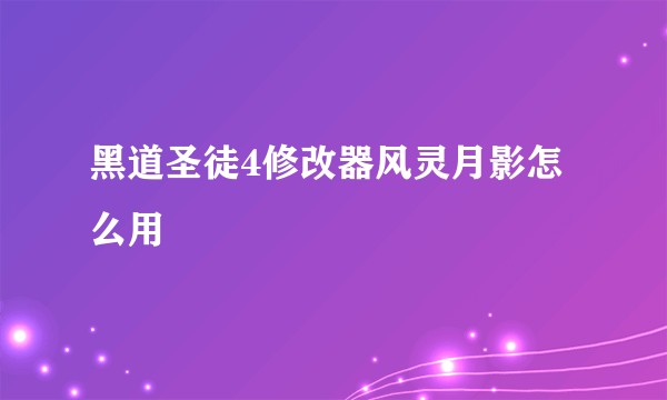 黑道圣徒4修改器风灵月影怎么用