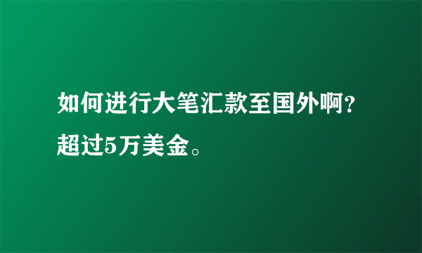 如何进行大笔汇款至国外啊？超过5万美金。