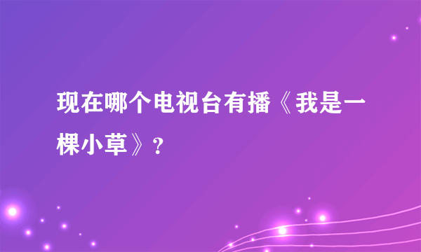 现在哪个电视台有播《我是一棵小草》？