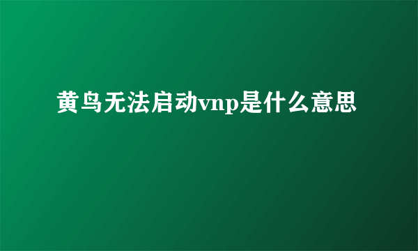 黄鸟无法启动vnp是什么意思