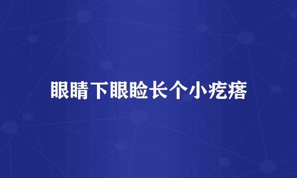 眼睛下眼睑长个小疙瘩