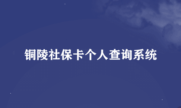 铜陵社保卡个人查询系统