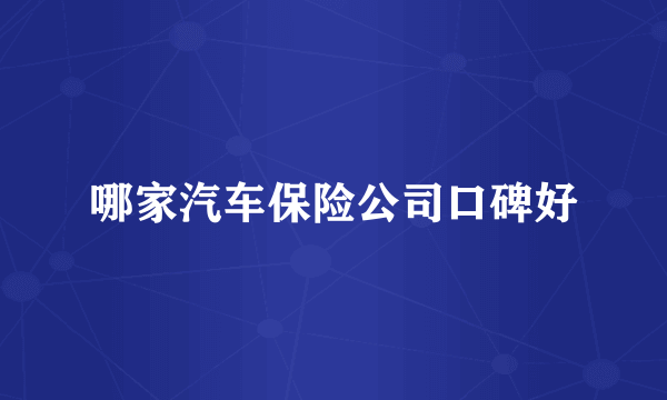 哪家汽车保险公司口碑好