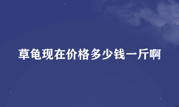 草龟现在价格多少钱一斤啊