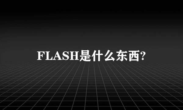 FLASH是什么东西?