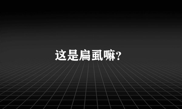 这是扁虱嘛？