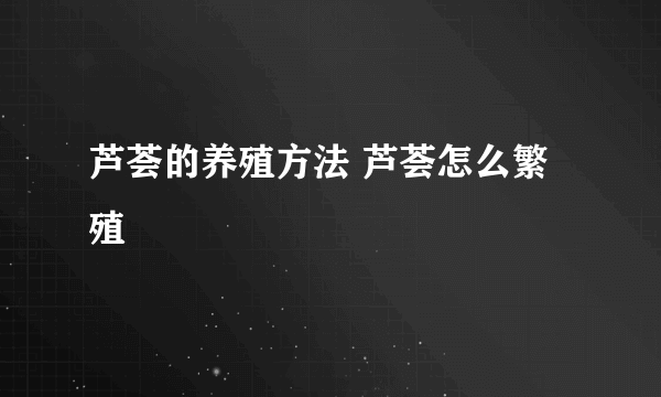 芦荟的养殖方法 芦荟怎么繁殖