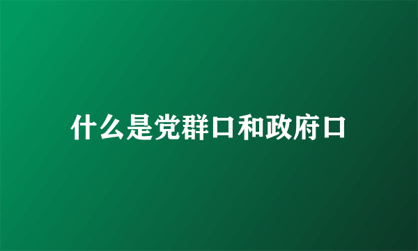 什么是党群口和政府口