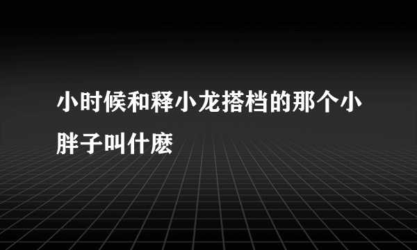 小时候和释小龙搭档的那个小胖子叫什麽