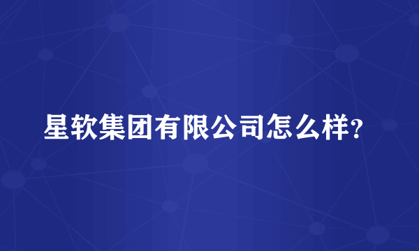 星软集团有限公司怎么样？