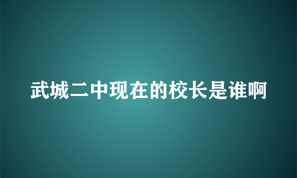 武城二中现在的校长是谁啊