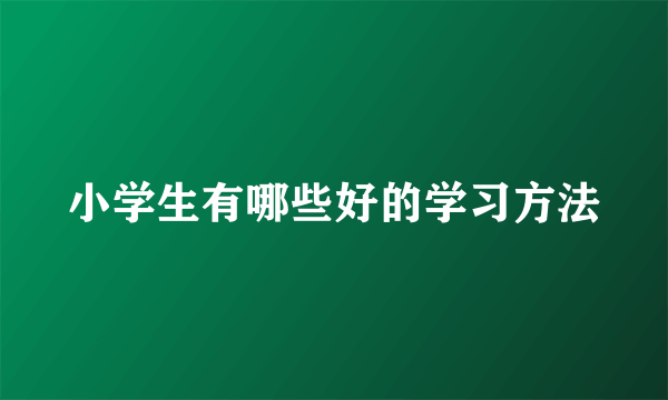 小学生有哪些好的学习方法