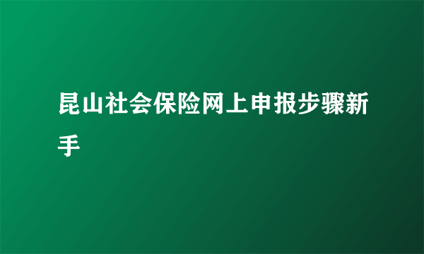 昆山社会保险网上申报步骤新手