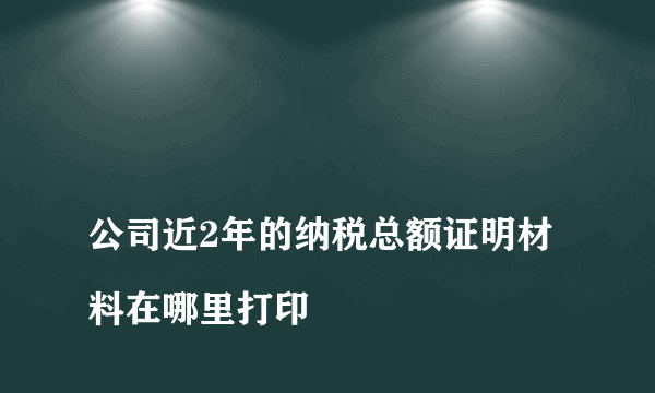 
公司近2年的纳税总额证明材料在哪里打印
