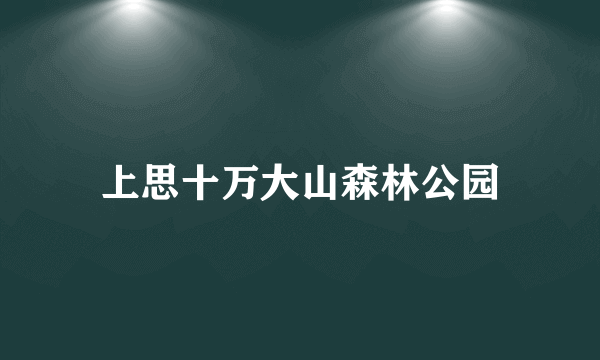 上思十万大山森林公园