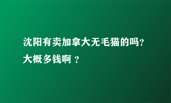 沈阳有卖加拿大无毛猫的吗？大概多钱啊 ？