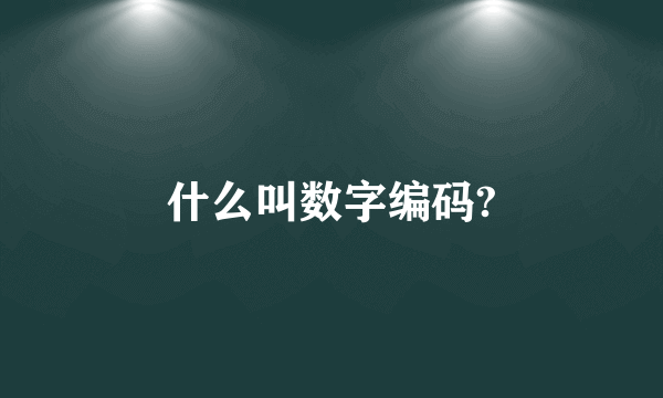 什么叫数字编码?