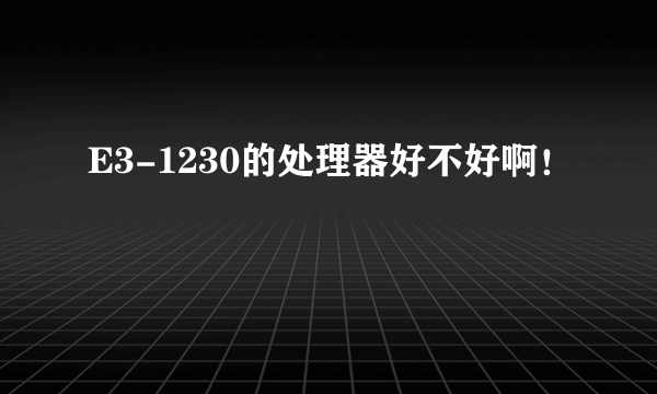 E3-1230的处理器好不好啊！