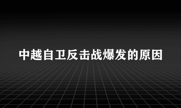 中越自卫反击战爆发的原因