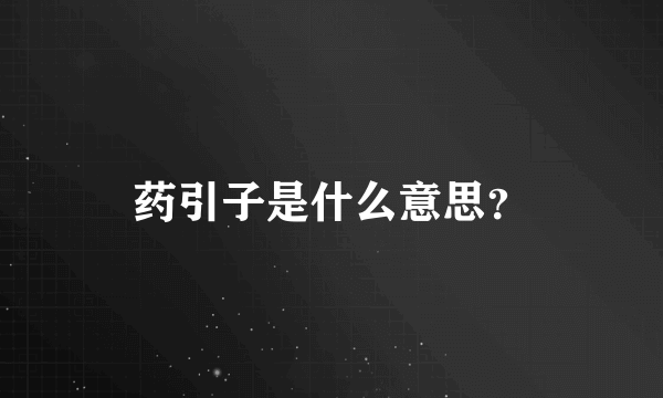 药引子是什么意思？