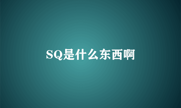 SQ是什么东西啊