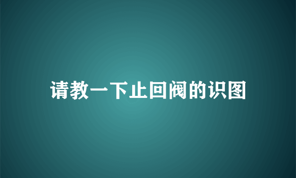 请教一下止回阀的识图