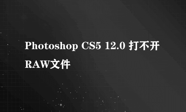 Photoshop CS5 12.0 打不开RAW文件